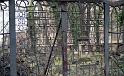 1994-03, Eliasfriedhof (38)